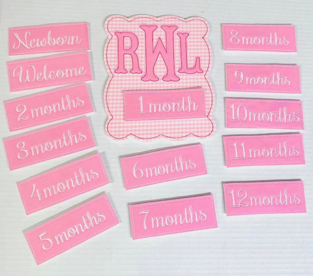 Baby Month Milestones