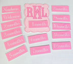 Baby Month Milestones