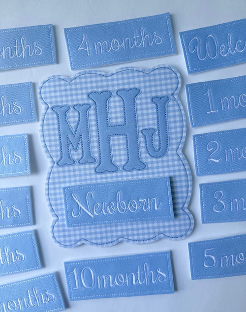 Baby Month Milestones